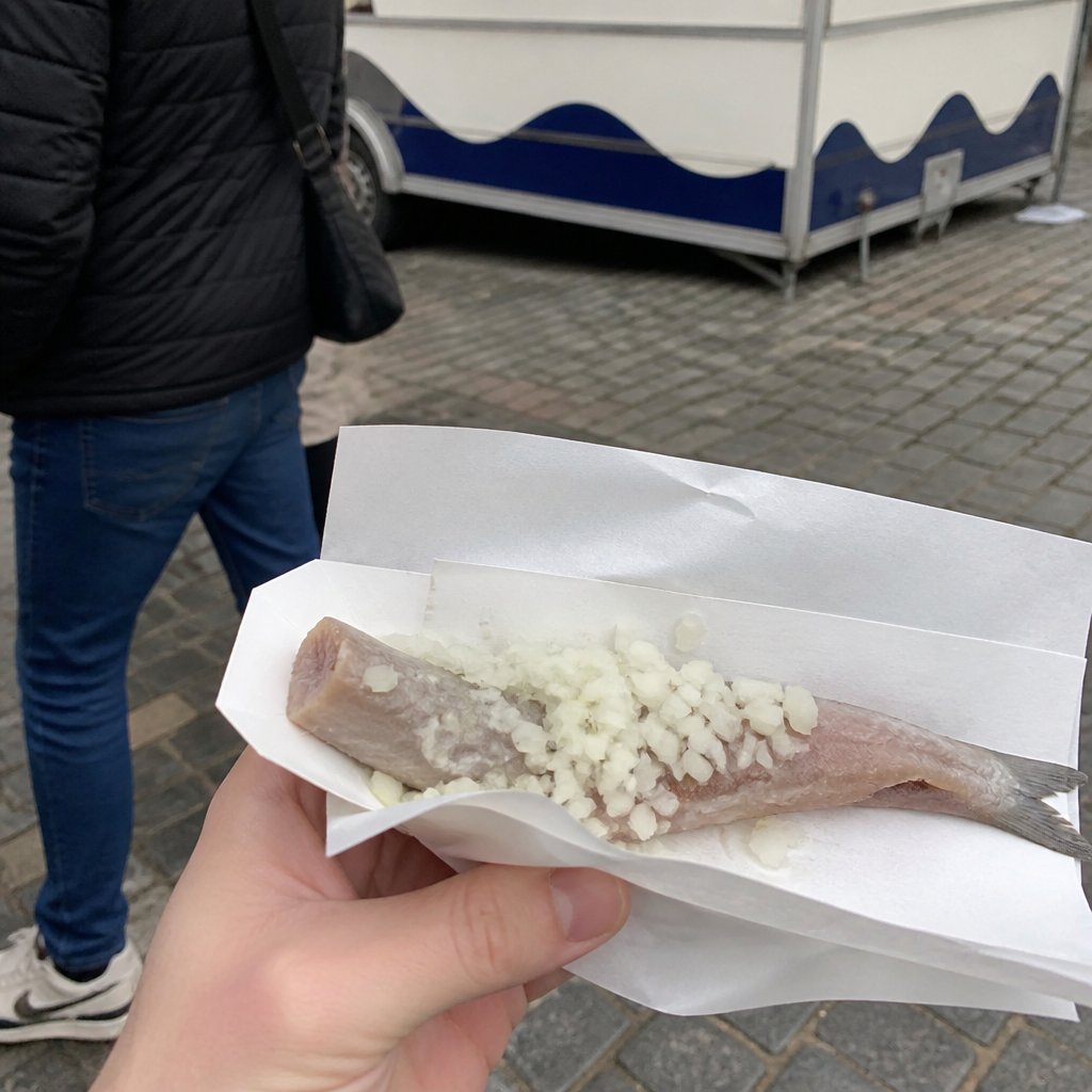 הרינג הולנדי: Hollandse Nieuwe